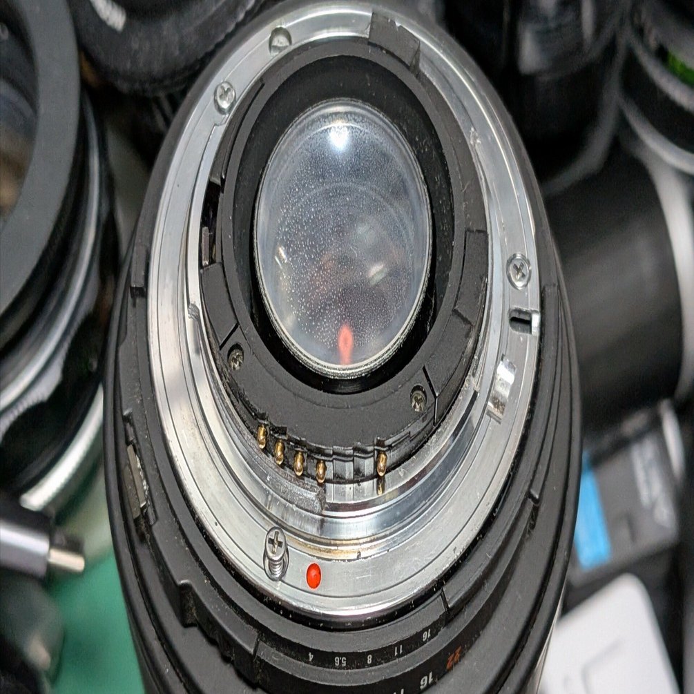 SIGMA 望遠マクロ 70-300mm ｜永瀬喜久