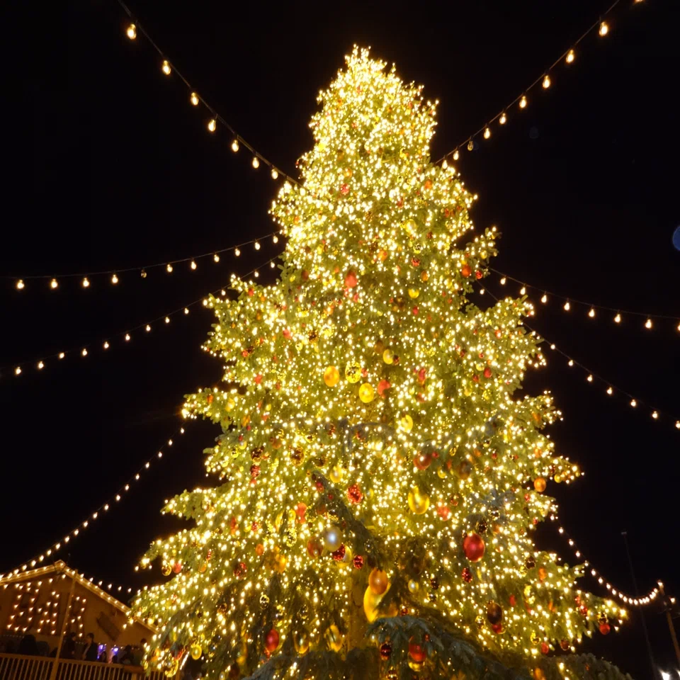 スイスのチューリッヒにあるクリスマスマーケットへ｜キャビン