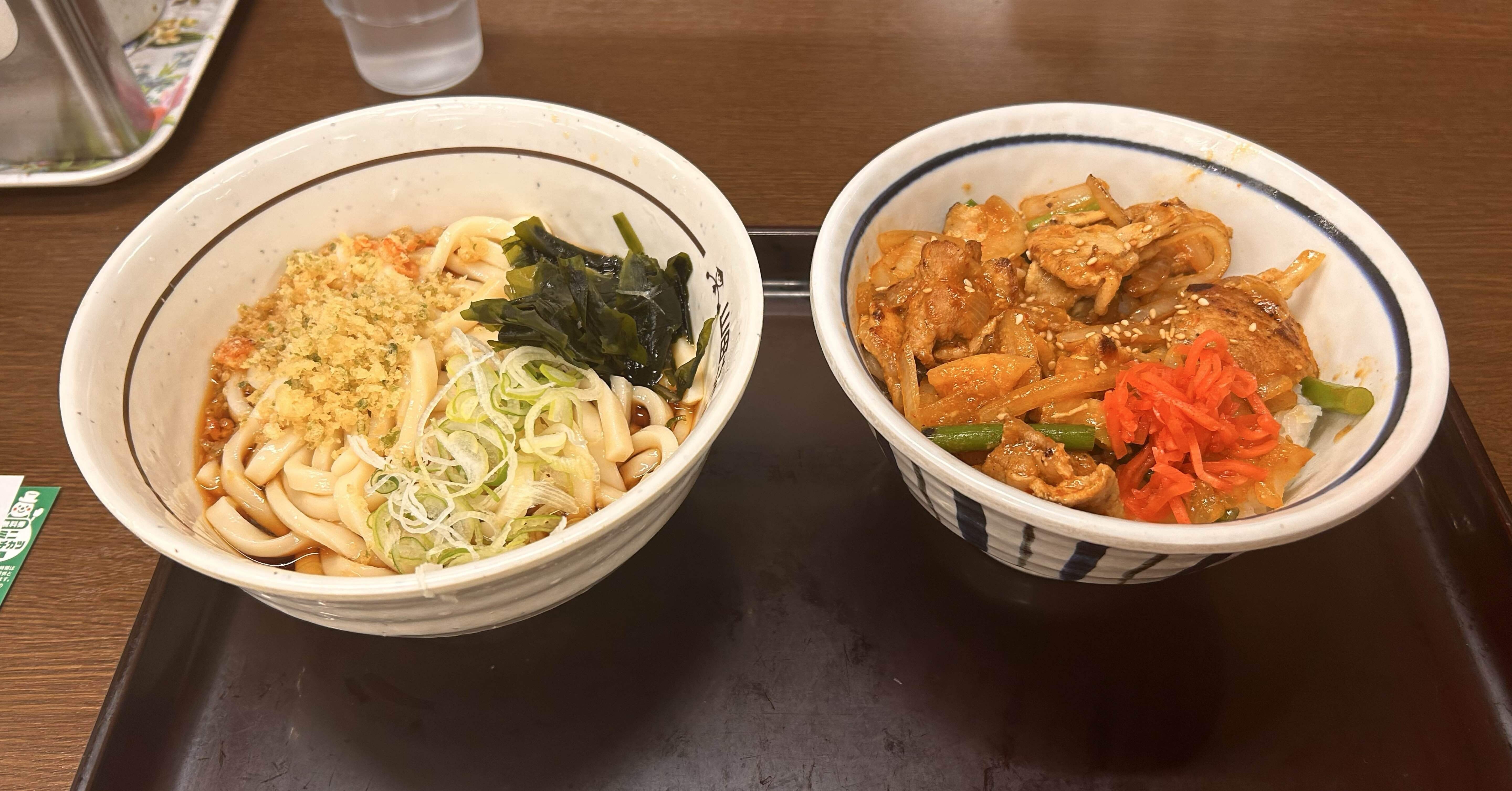 日本一周 day70日目｜かめさん