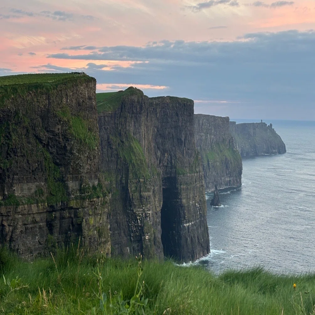Day144 クリフ・オブ・モハー（Cliffs of Moher) ワイルド