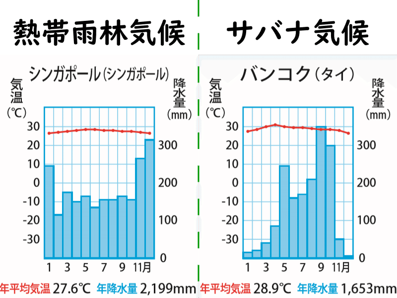 地理 世界の気候帯を雨温図といっしょに復習しよう ポチャstudy Note