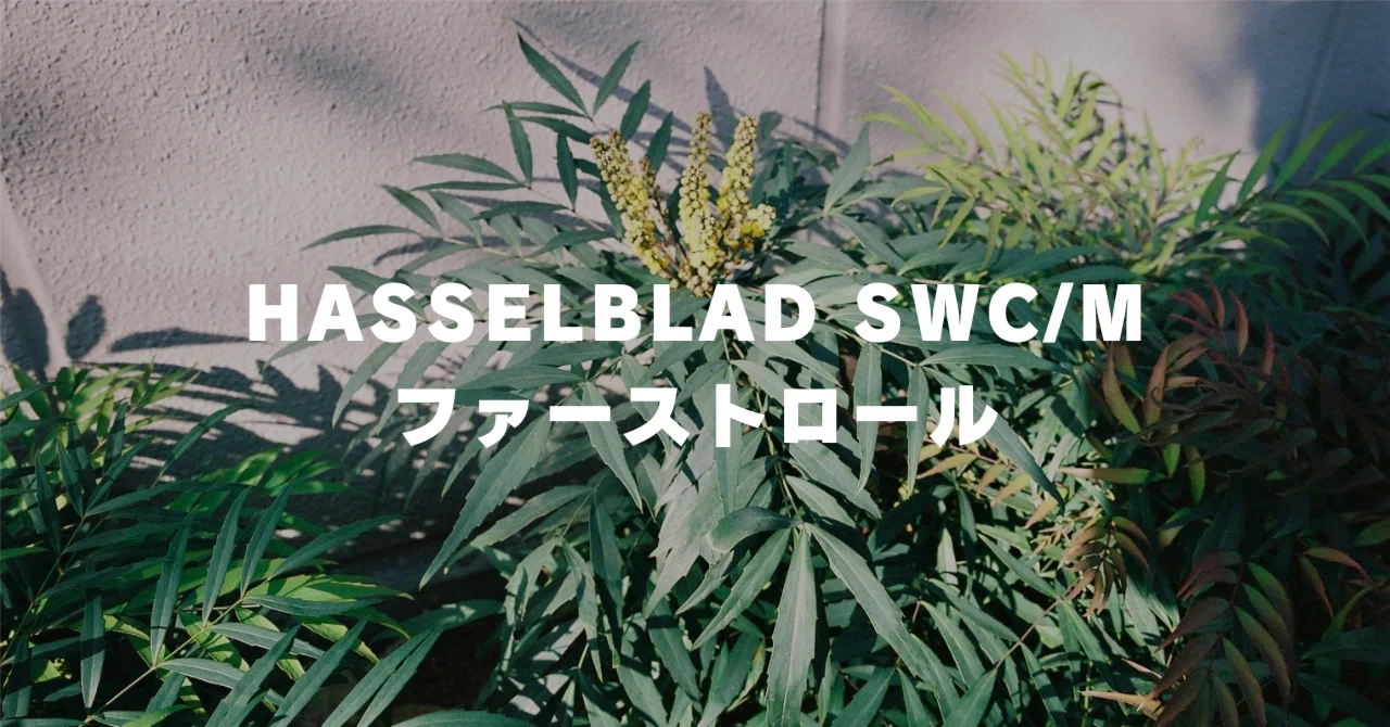 HASSELBLAD SWC/M ファーストロール｜ぼんしゅー｜BORN SURE blog管理人
