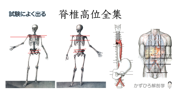 かずひろ先生（黒澤一弘｜解剖×教育×AI）｜note