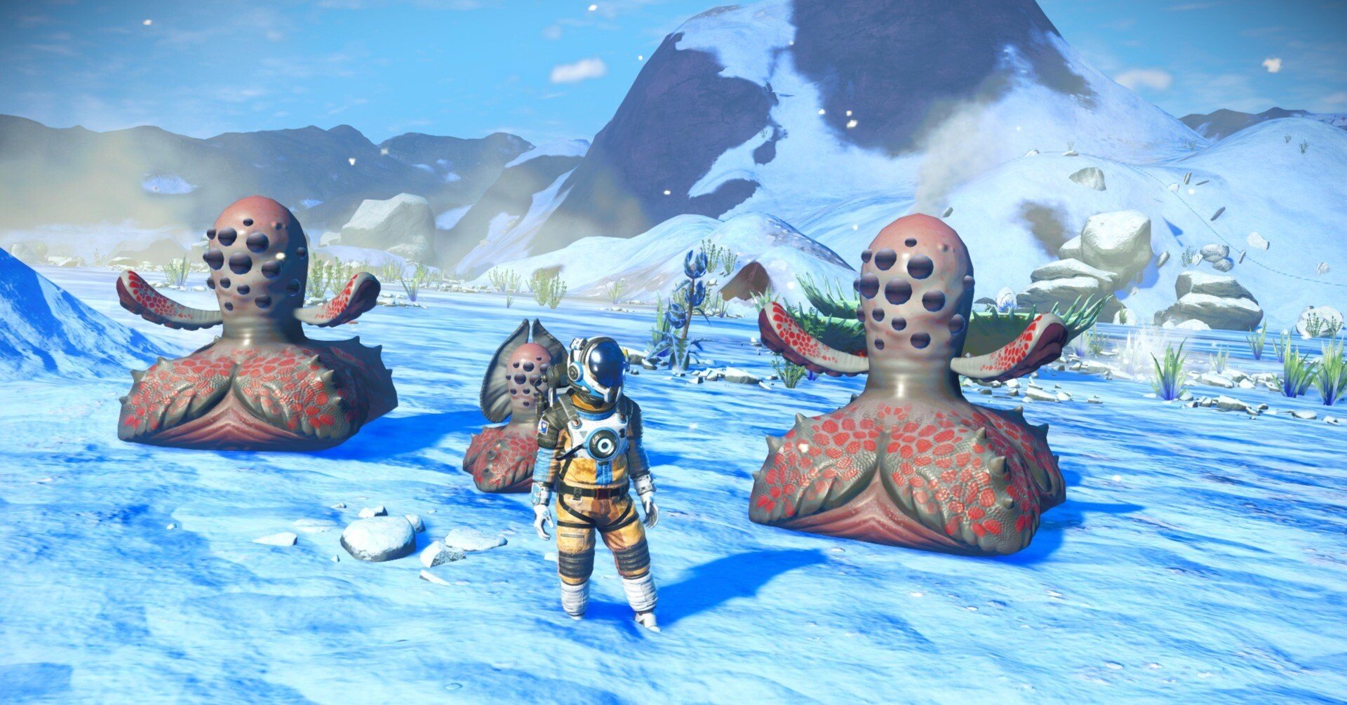 302b993084d18f9f81f99a96b11292