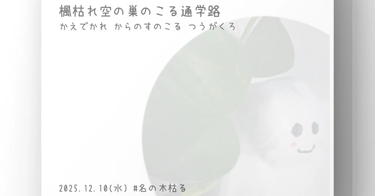 見出し画像