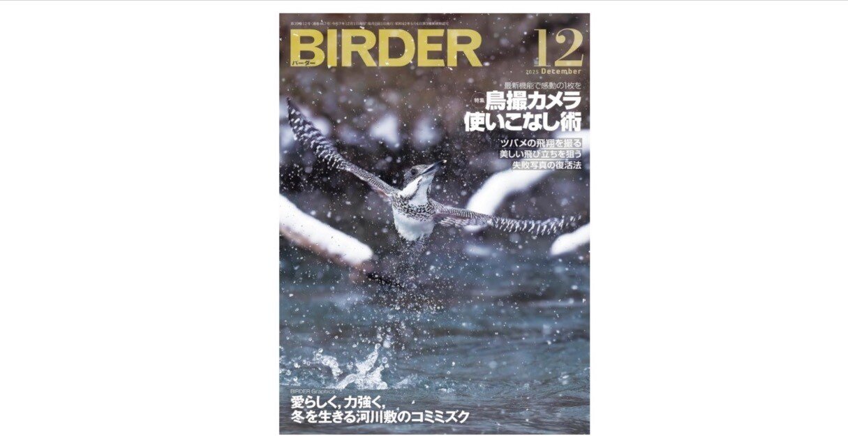 BIRDER 2025年12月号」──鳥撮りの“思想”と“技術”が一冊に凝縮された