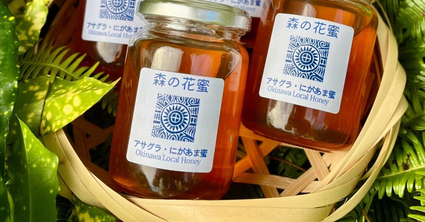 やんばるの森が育てた「にがあま蜜」。人と自然と蜜蜂の物語｜NPO法人