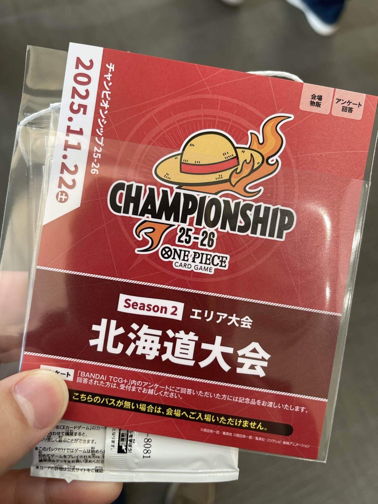 青紫ルフィの自己報告書｜NAN-ZAN