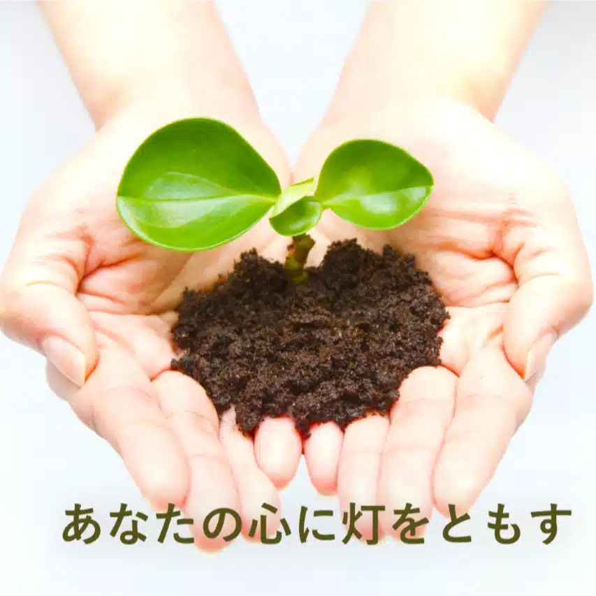 漂泊民