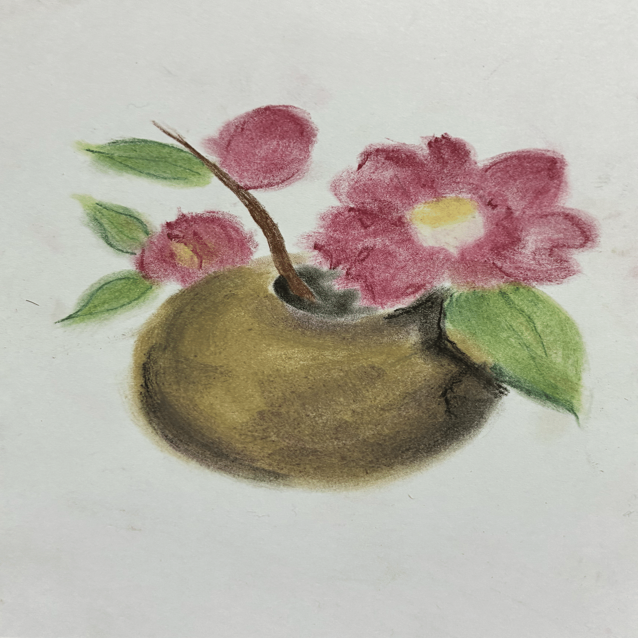 山茶花のパステル画です。｜まる