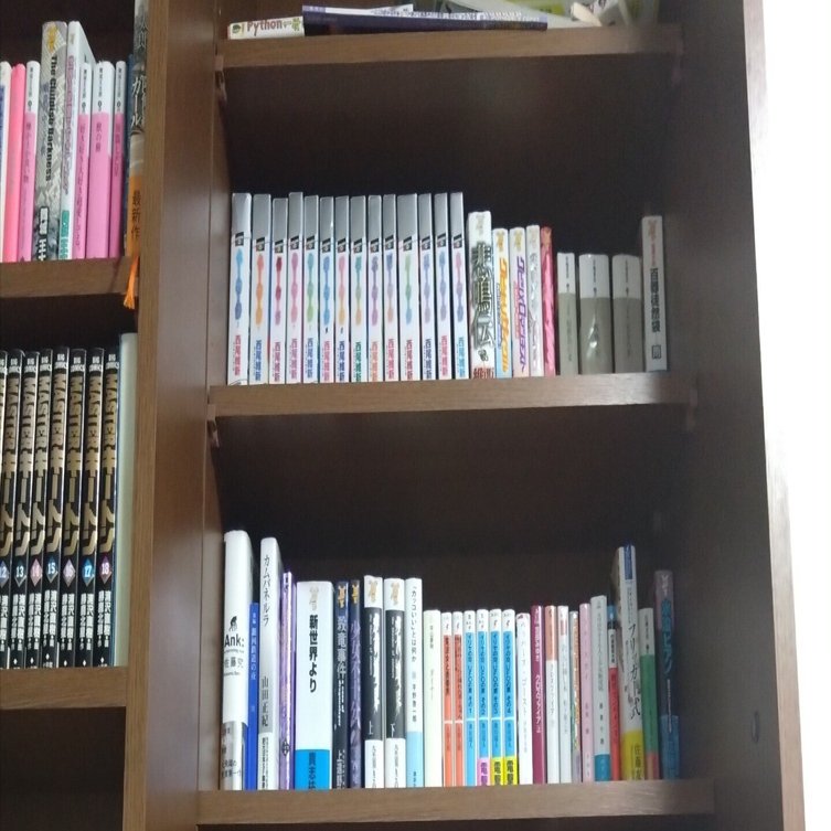 2025の俺が読んだ小説総括！｜刈葉えくす