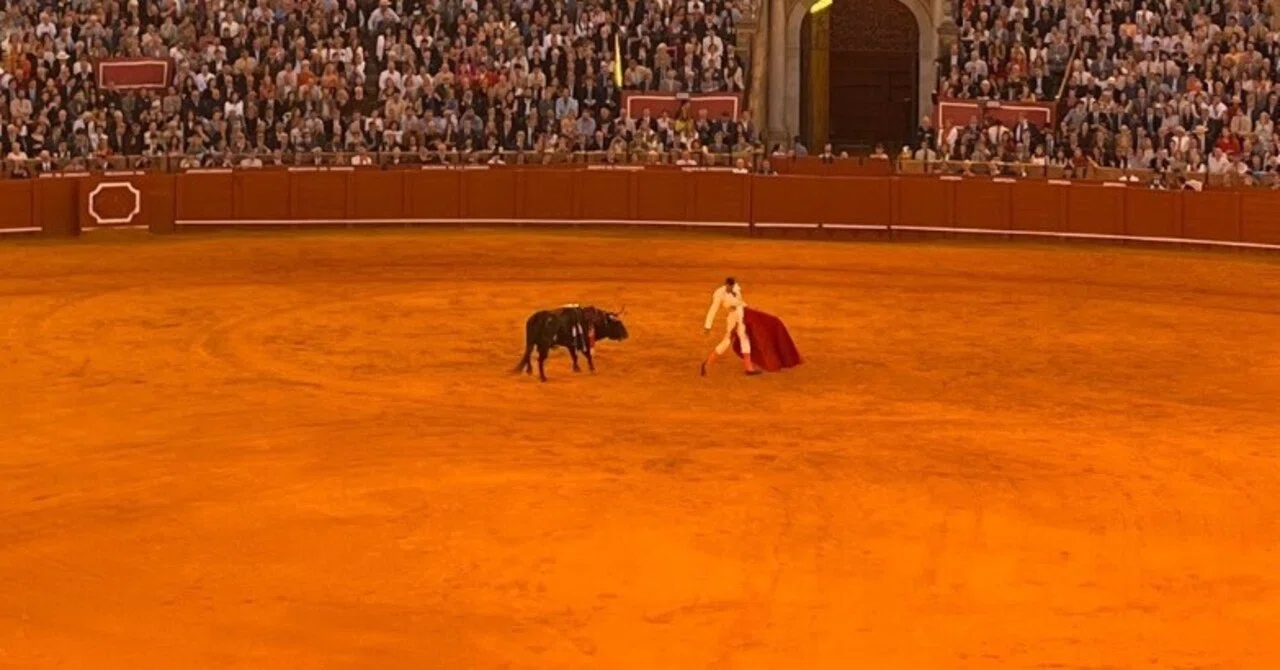 スペインのセビージャで闘牛を観る｜flores