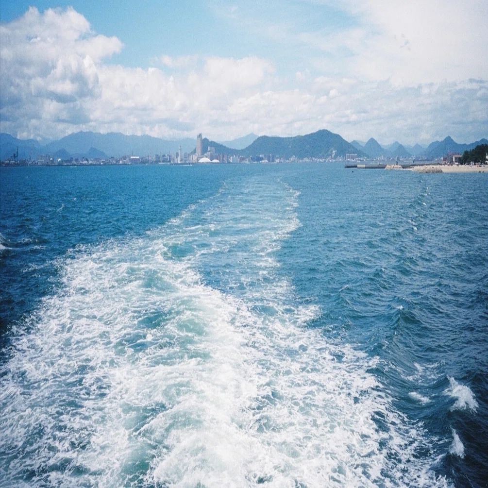 フィルム写真と夏への羨望｜かうちぽてと