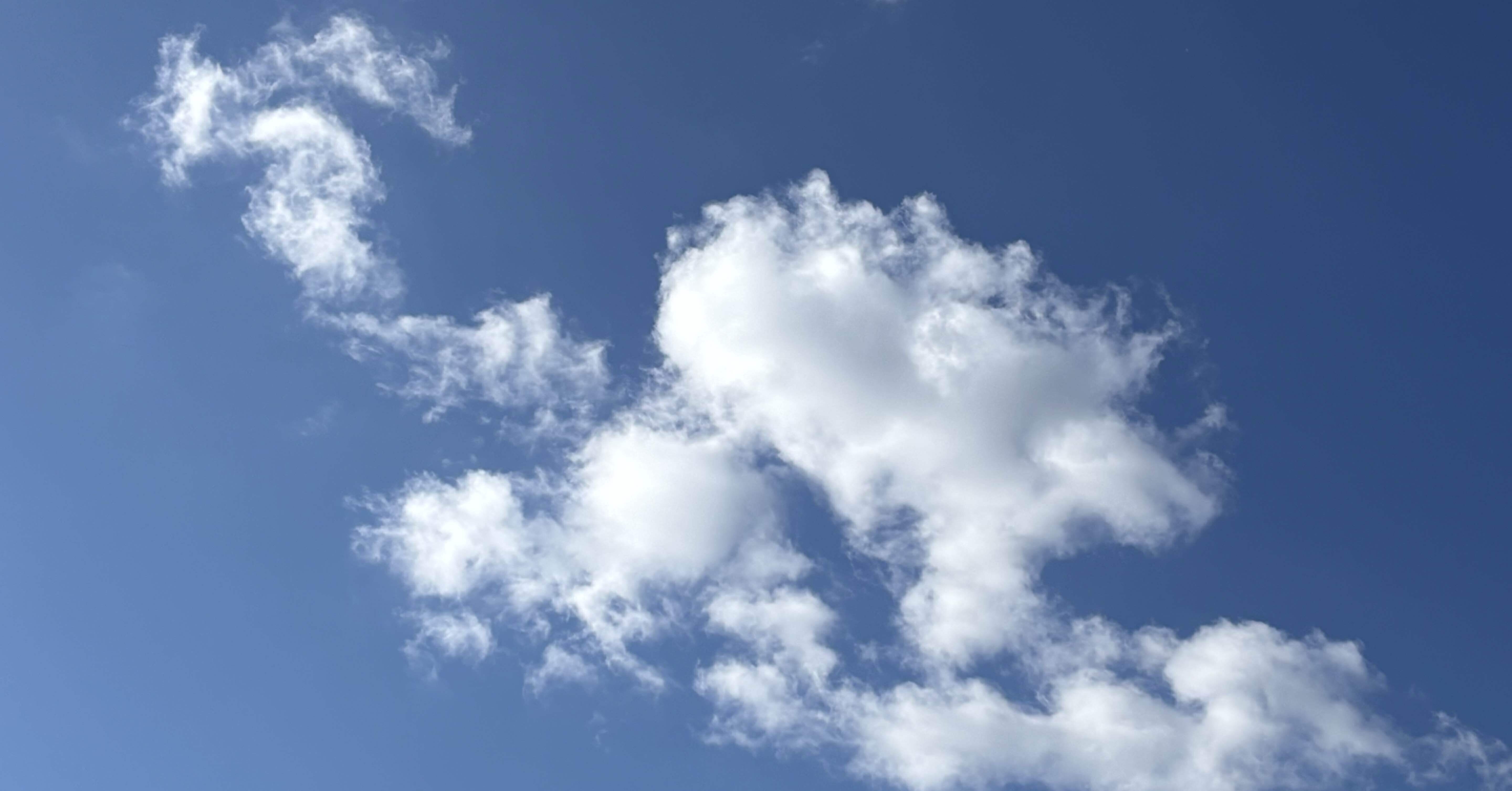 雲 見上げると今日の雲も面白い｜sikisai33