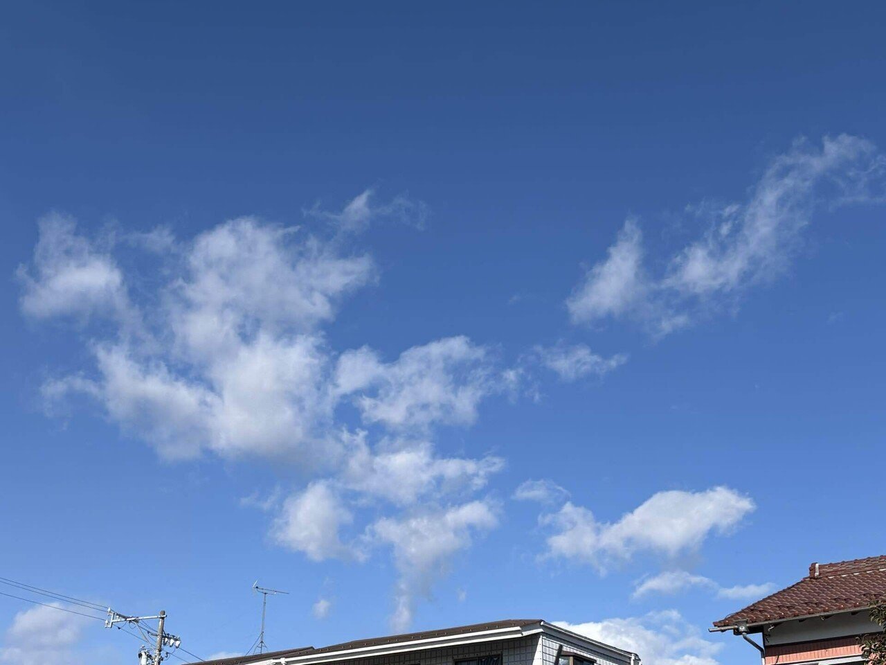 雲 見上げると今日の雲も面白い｜sikisai33
