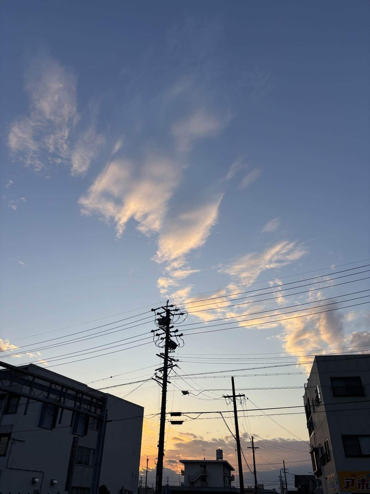 見上げると今日の雲も面白い｜sikisai33