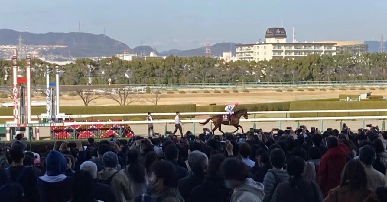 ドウデュースの思い出｜（有）日本ブレイクバルク工業