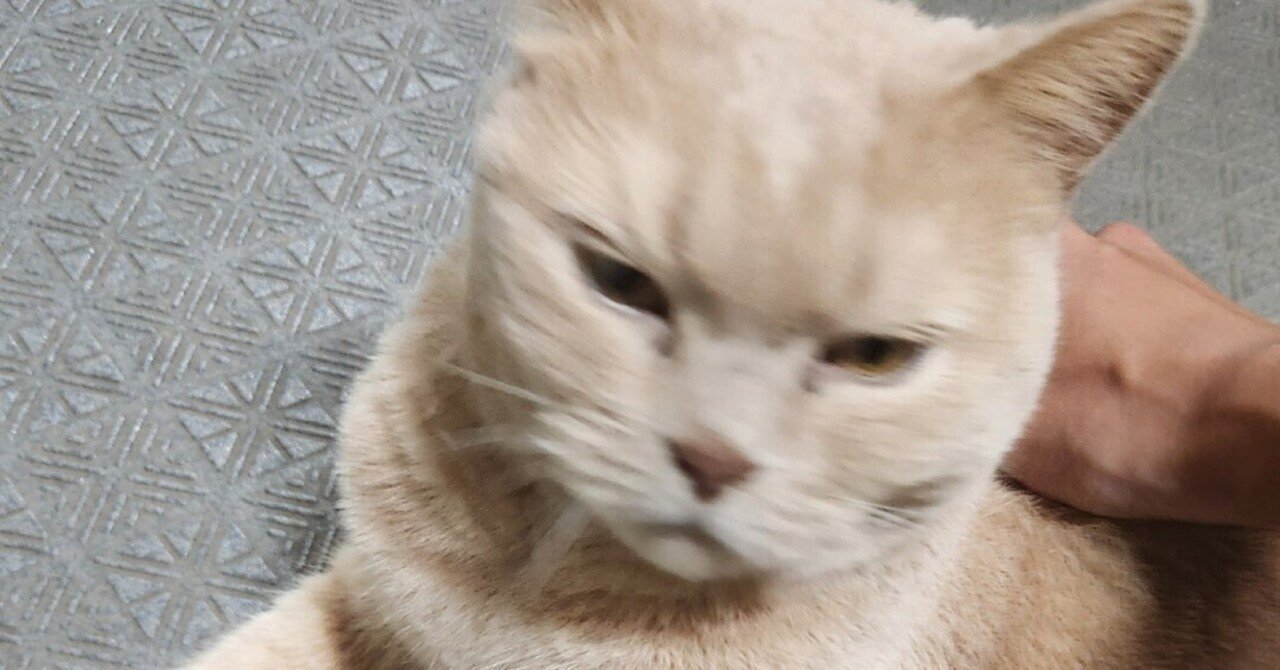 adventar.org

 
 
 当記事はUEC Advent Calendar 2025 12月9日分の投稿記事です。   前日の記事はあづみさんの「WindowsでSKKを使ってみた」でした。後で読みます！読んでみてください。  


WindowsでSKKを使ってみた


形態素解析に頼らない日本語入力システムSKKのWindows版、CorvusSKKを使ってみたらよかったのでおすすめする話


dg7.dev



 
  UEC24Bの多田です。 ごめんなさい、12月前半が想像以上に忙しくて書けませんでした。 今は明後日の演奏会の練習をしています。 来週書きます。   