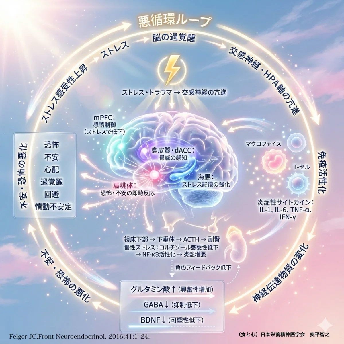 ストレスと炎症の悪循環〜（食と心の専門家）日本栄養精神医学会｜栄養