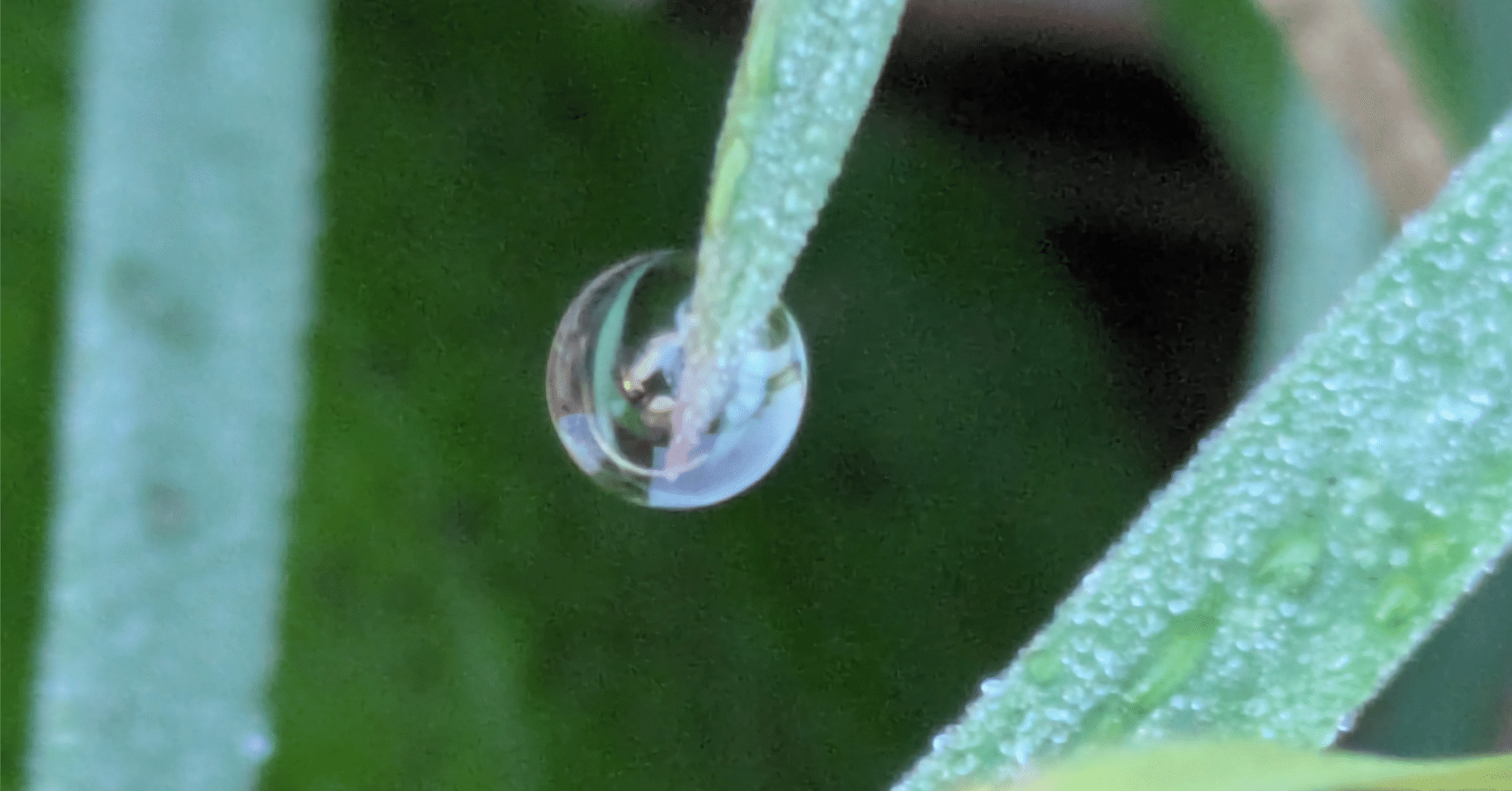 2025年12月11日】祝・ダウ史上最高値！オールドエコノミーの逆襲とAIへの「待った」｜ハル @米国株を学ぶ会社員