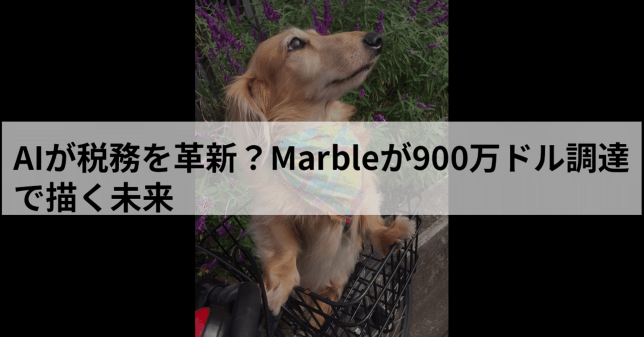 AIが税務を革新？Marbleが900万ドル調達で描く未来｜atom