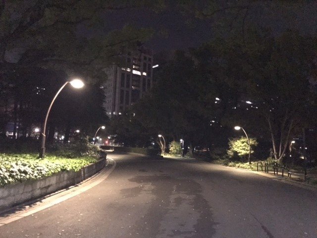 夜のお散歩は つつじ山 マンボウ Note