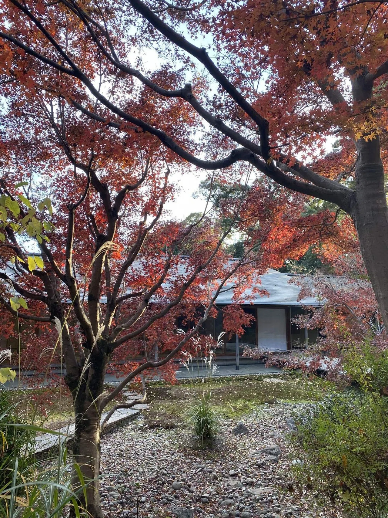 近代数寄屋建築第一主義｜高見温| On Takami