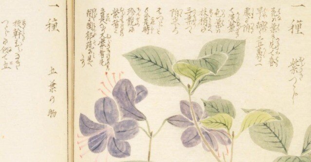 本草綱目彩色図譜 192．岩崎灌園『本草図譜』のツツジ｜sasayan