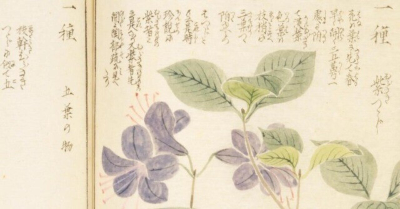 192．岩崎灌園『本草図譜』のツツジ｜sasayan