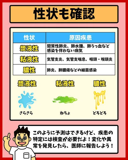 痰の種類|メメント•モリ