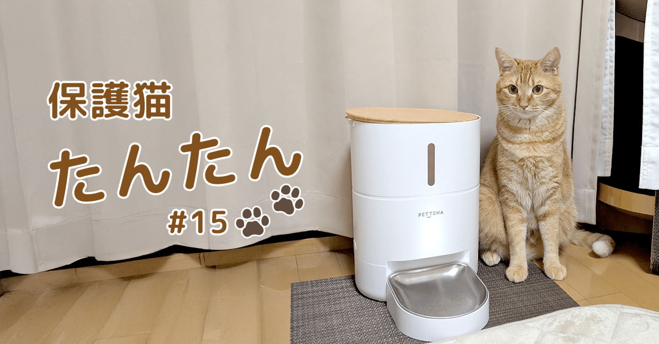 使って感じた自動給餌器のメリットデメリット｜スキルキット｜パソコンとAIの先生