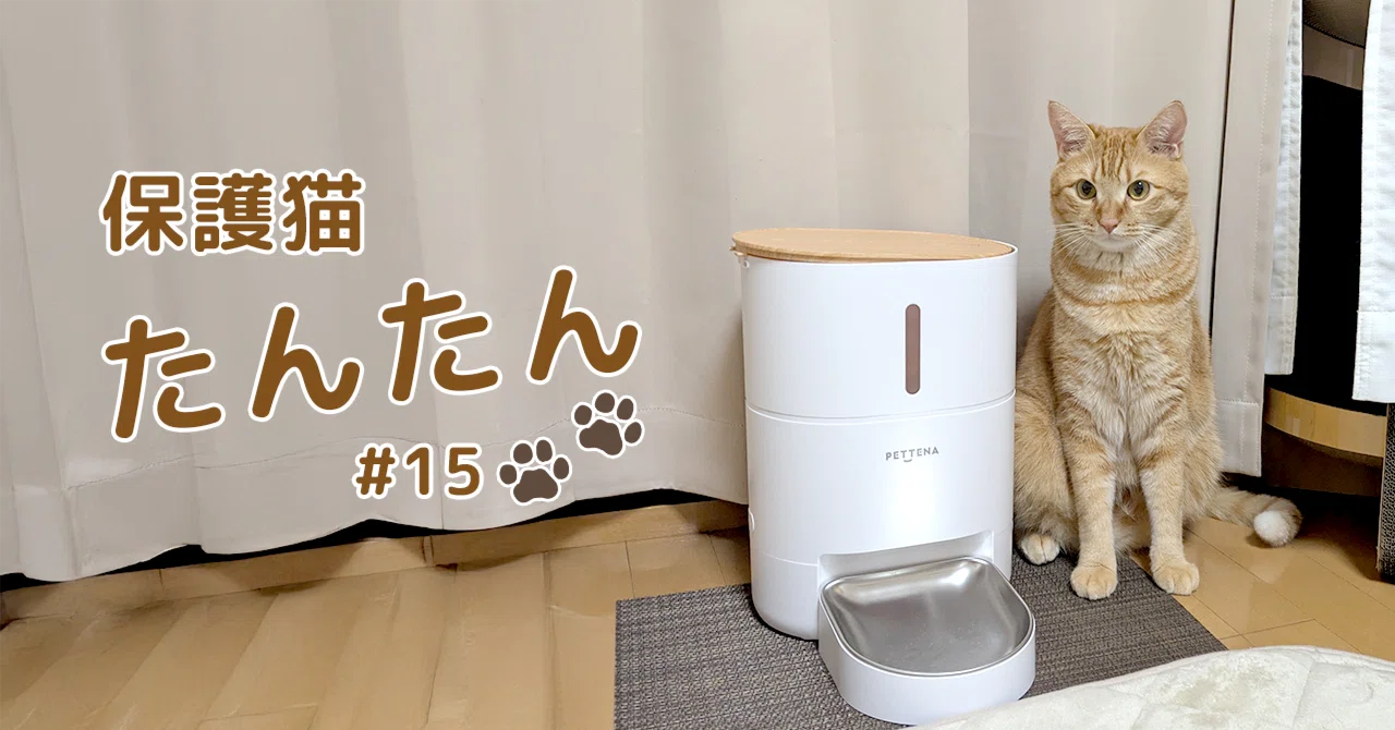 猫 自動給餌器 デメリット