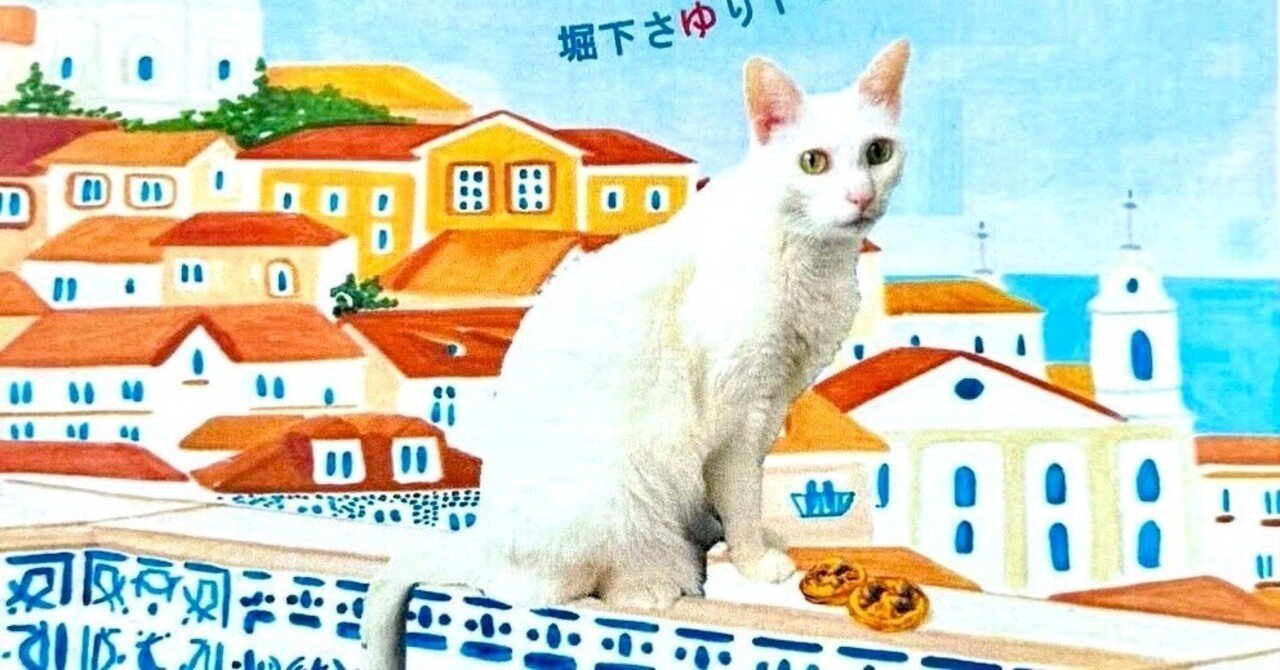 ねこねこ音楽会 2026.2.7 🐾｜堀下さゆりのnote