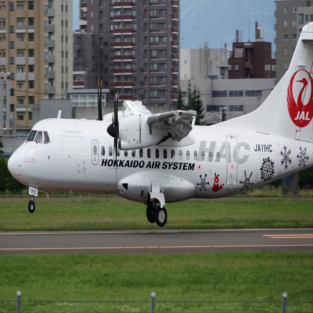 ネイピアの滑走路16／34に進入｜やぶ悟空