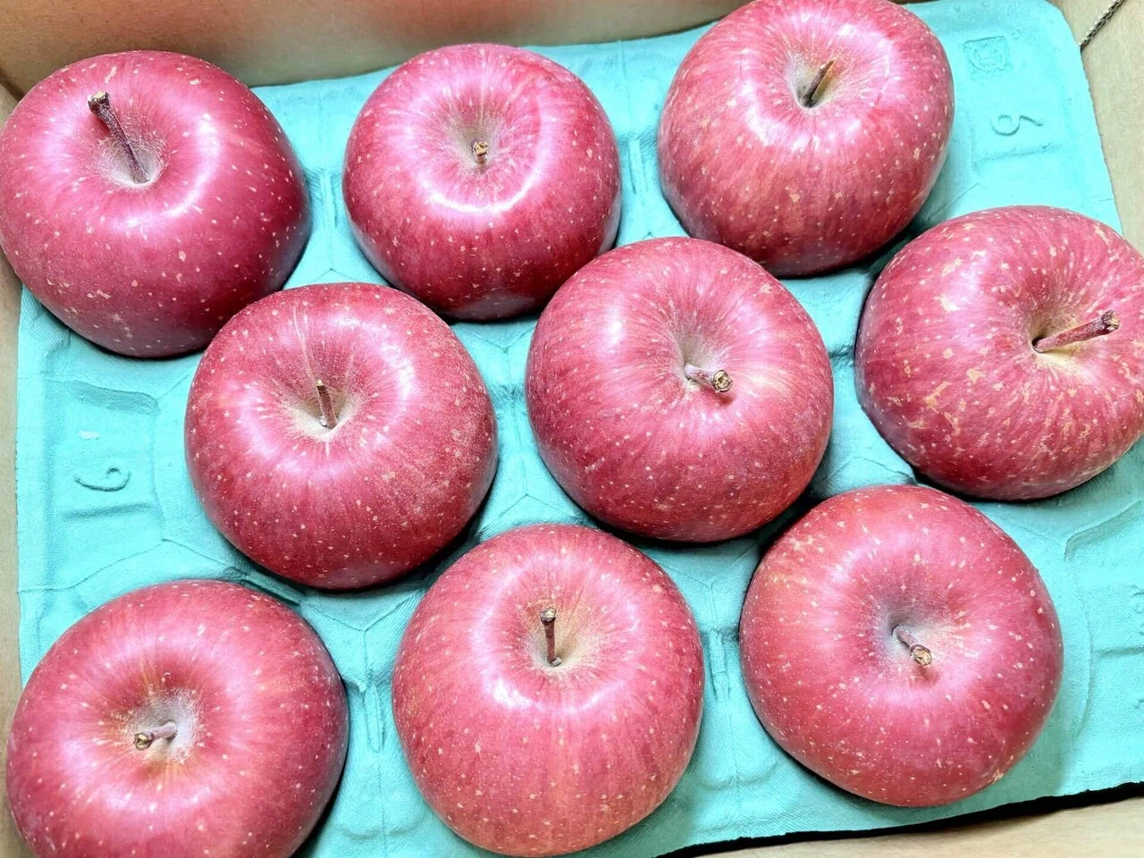 アークス（9948）株主優待🍎 1.36% 青森県産りんごが絶品！【2月優待