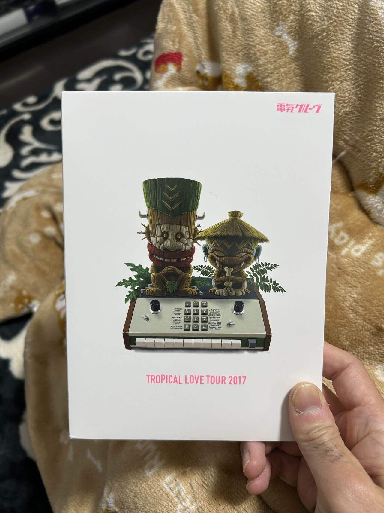 電気グルーヴ「人間と動物」「TROPICAL LOVE」LPレコード2枚セット 電気グルーヴ「人間と動物」「TROPICAL LOVE」LPレコード2枚セット