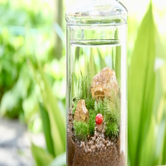 苔テラリウムの作り方（クローズドタイプ）｜苔技術研究所 @鎌倉苔むすび