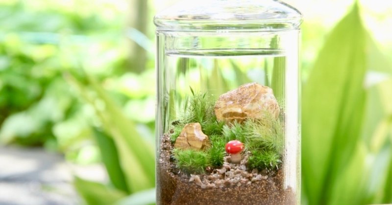 苔テラリウムの作り方 クローズドタイプ 苔むすび Note