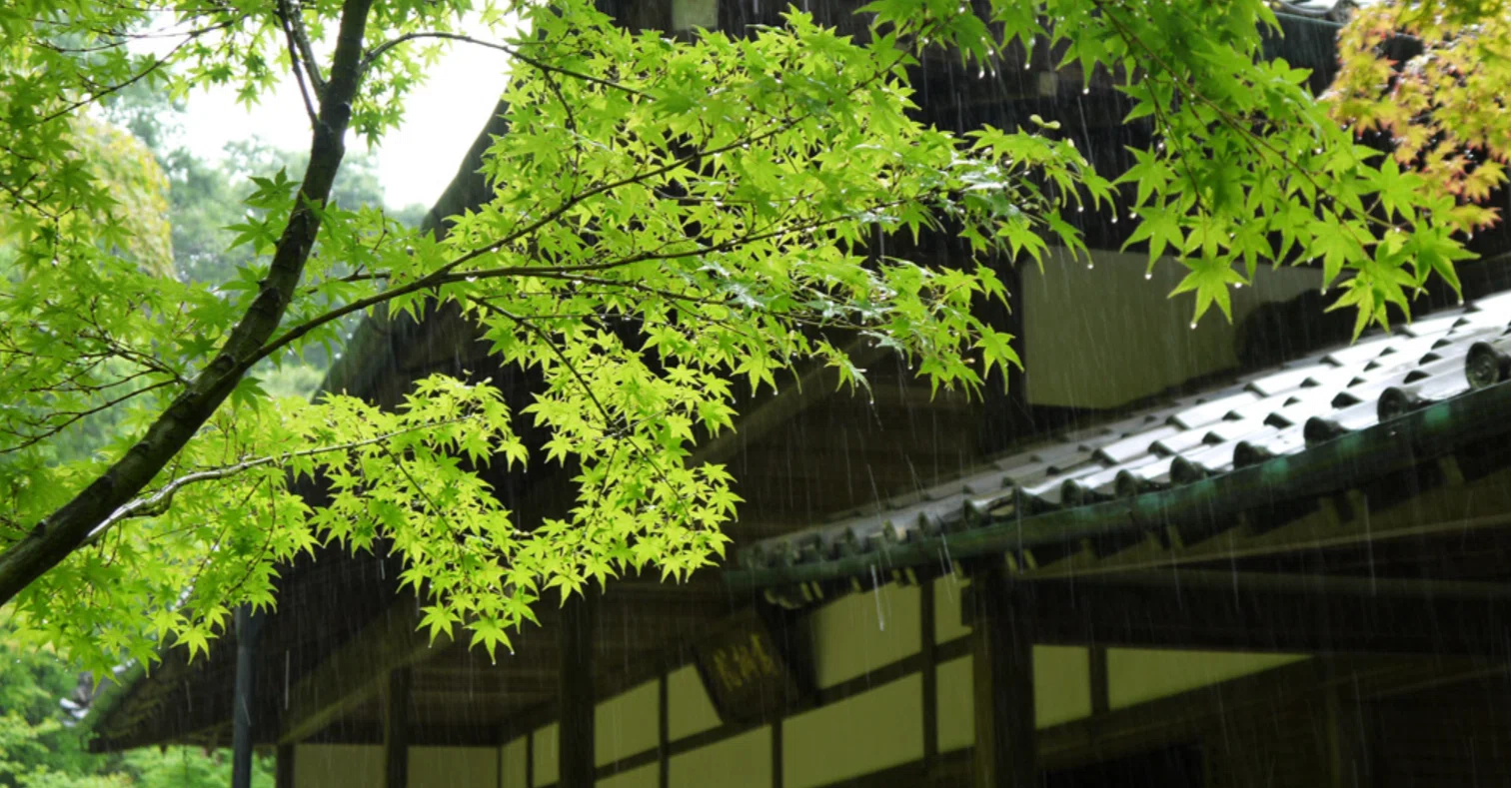 令和新撰百人一首 45 花は散りその色となく眺むればむなしき空に春雨ぞ降る 式子内親王 吉田裕子 ヨシダユウコ Note