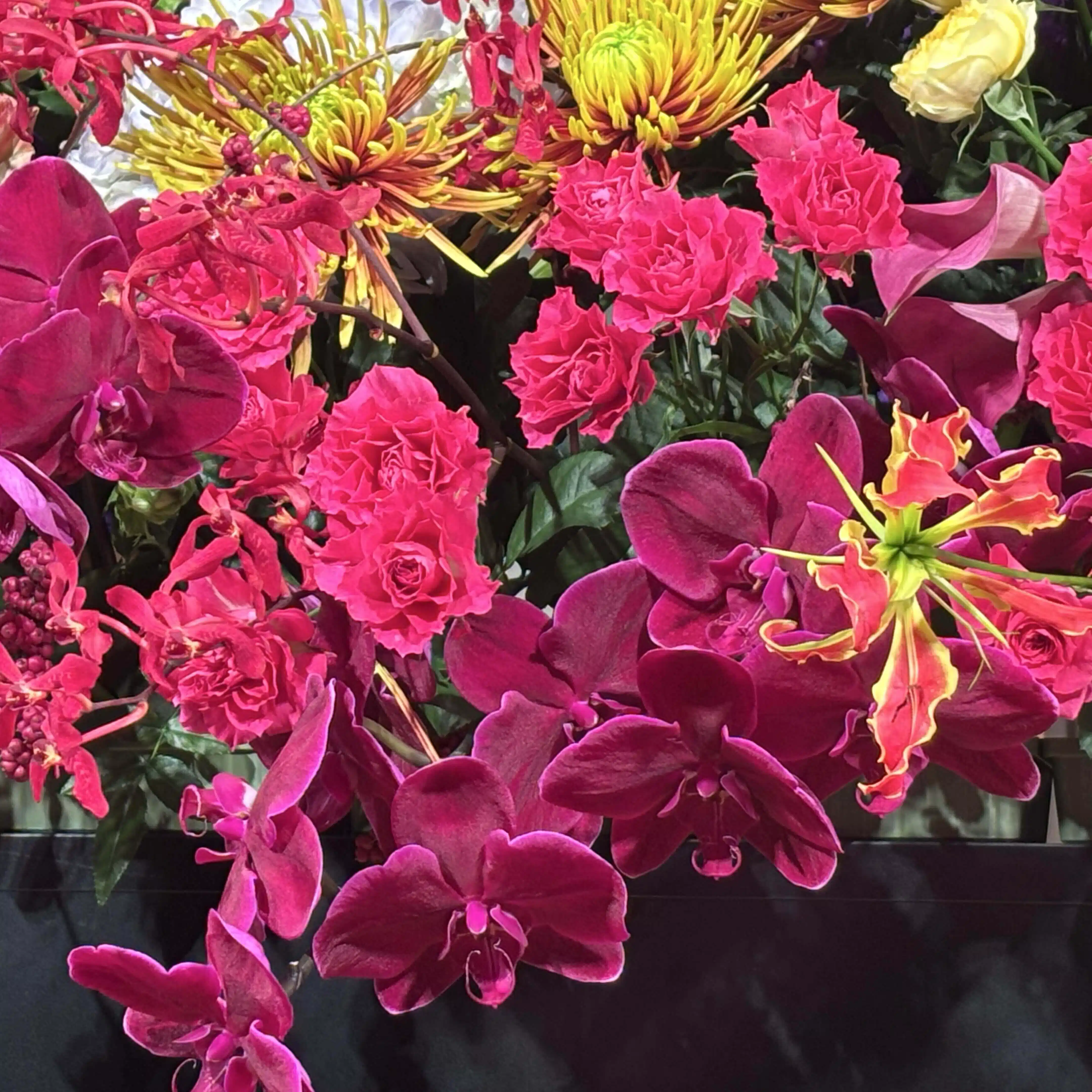 舞花