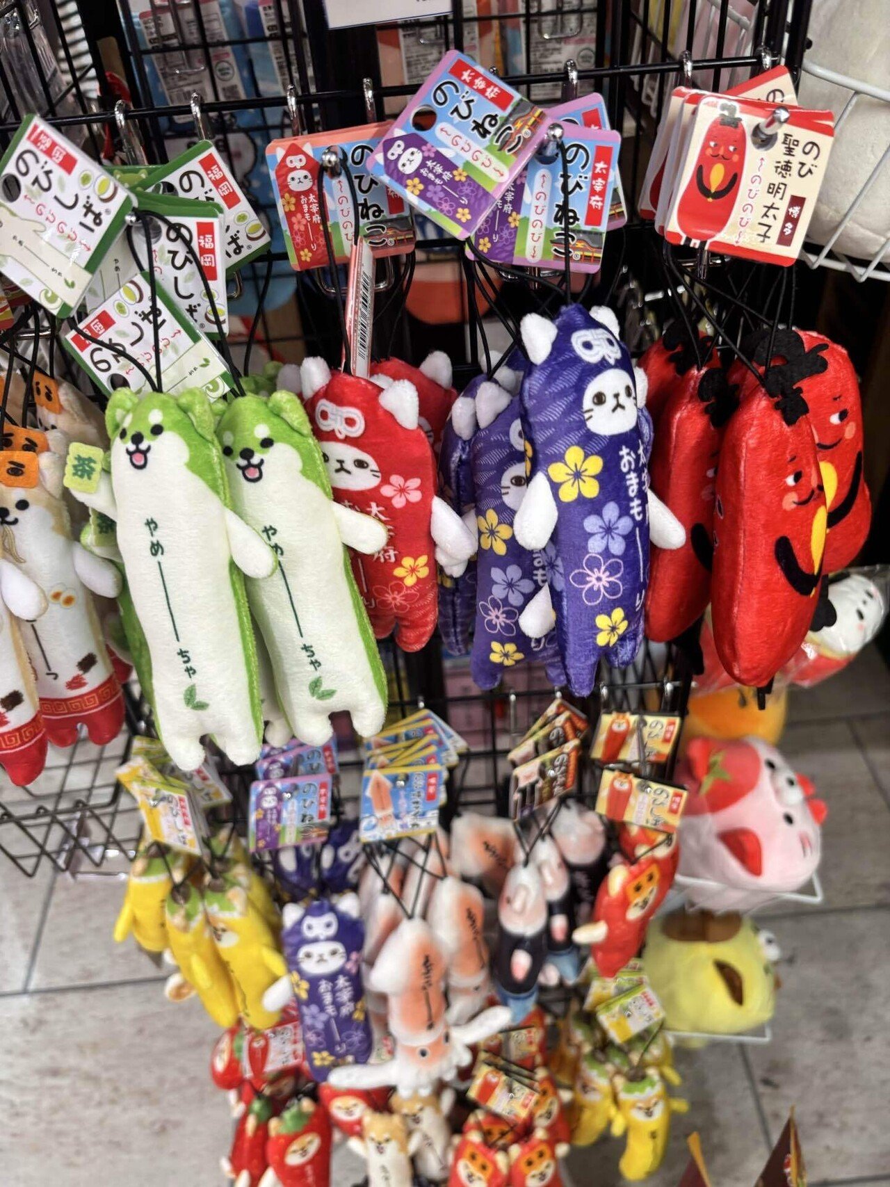 のびねこ捕獲・福岡空港｜Debris@雑記