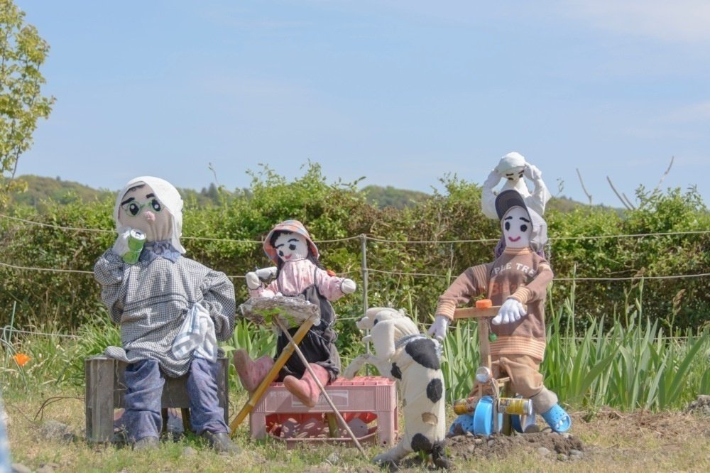 とにかくなんだか幸せそうな雰囲気で 思わず笑顔になるカカシ いちはら 山登里食堂近くの畑にて ぷらいまり Note