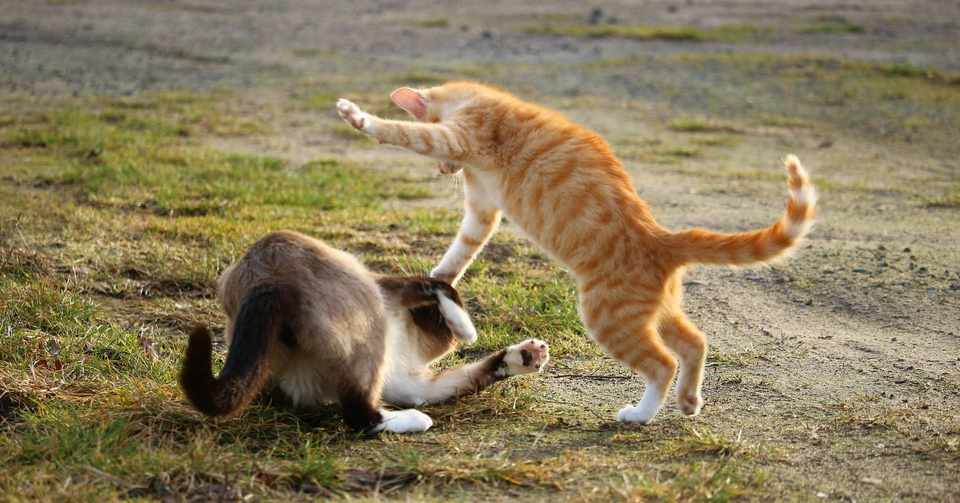 牛丼屋でアルバイトをしていた頃 深夜に親子喧嘩が始まった話 小木曽一馬 Mtame Inc Note