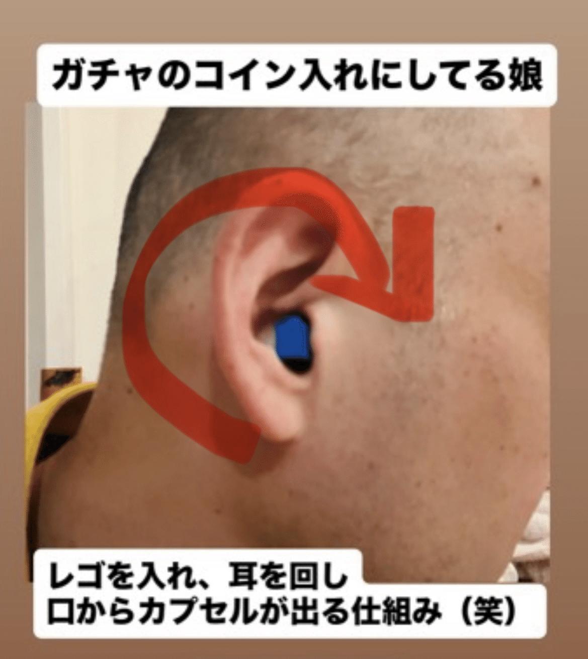 パパガチャ｜画家・ペーの日記