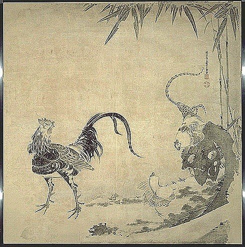 江戸の奇想絵師“伊藤若冲”｜長澤翼(Tsubasa Nagasawa)