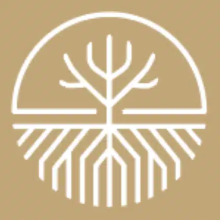 MINAMI MINDLAB