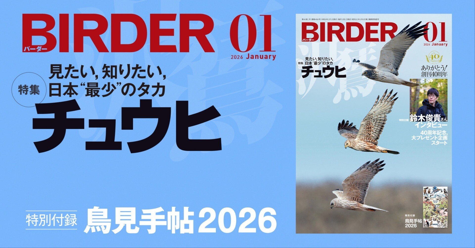 BIRDER1月号の見どころ｜ブンイチ（文一総合出版）