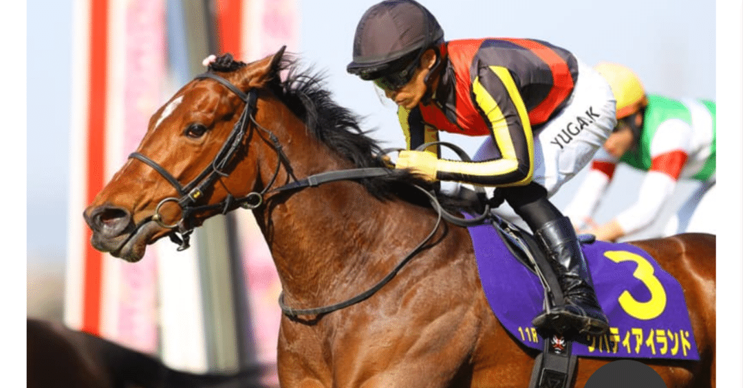 まねき馬 No.2470リバティアイランド追悼SP まねき馬 No.2470リバティアイランド追悼SP まねき馬 追悼SP No.2470