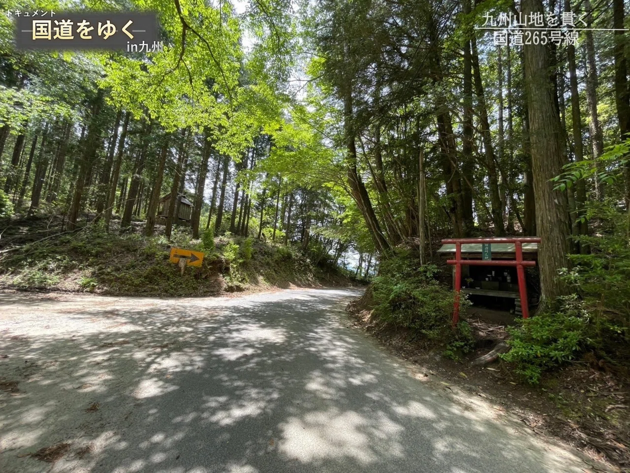 Exploring 'Kokudo'] A Journey to Traverse 'Route 265' Cutting