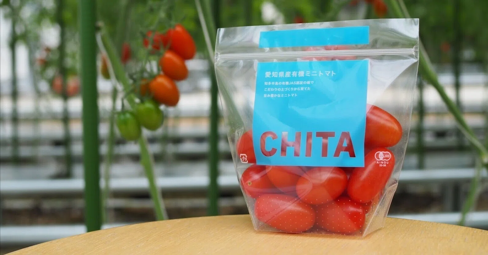 トクイテンのトマトに『CHITA』という名前をつけました｜豊吉隆一郎